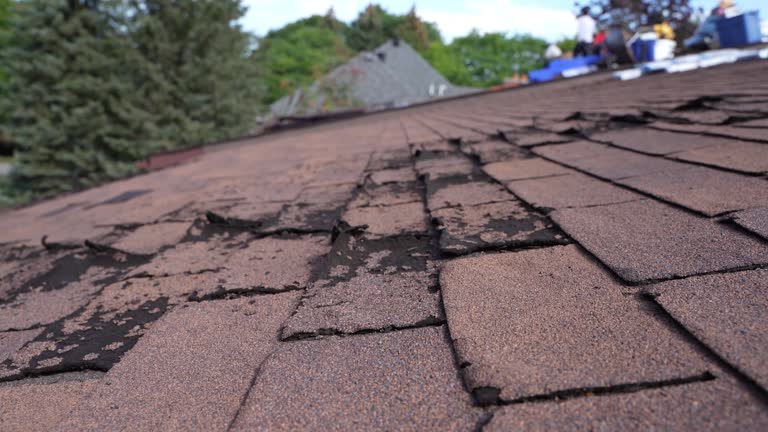 Best Flat Roofing  in Orleans, IN