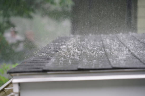 Best Roof Maintenance and Cleaning  in Orleans, IN